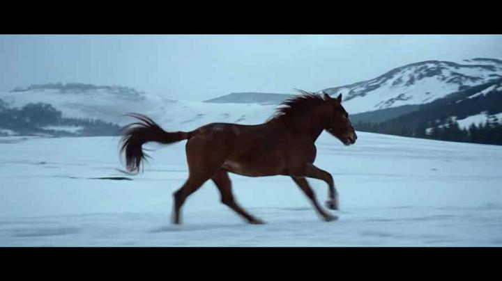 LAND ROVER 路虎 · 图版 10