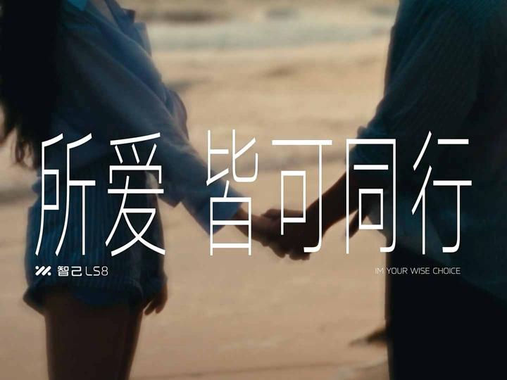IM 智己 LS8 · 所爱皆可同行 · 图版 12